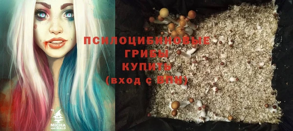 PSILOCYBIN Верхнеуральск